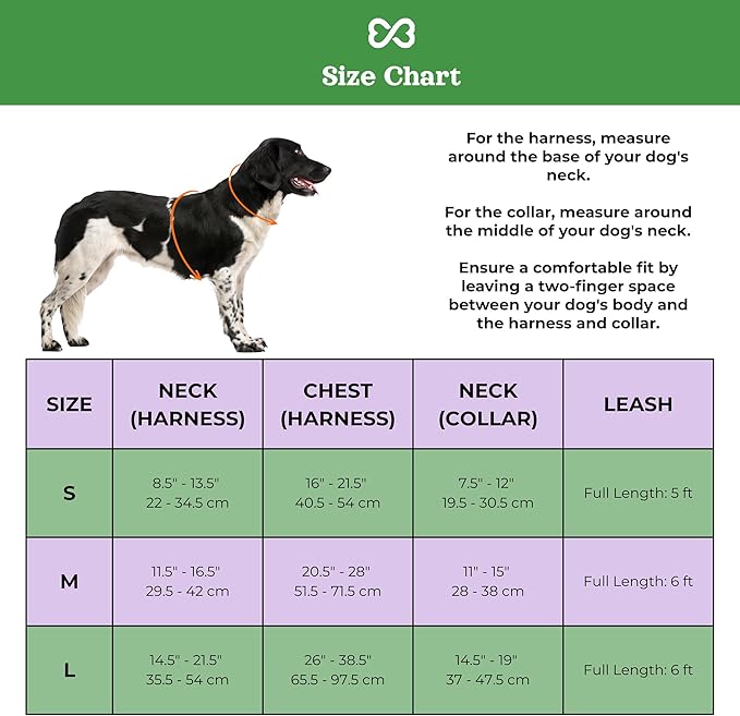 Dog Harness and Leash Set | BearBone No Pull Dog Harness and Waterproof Dog Collar and Leash Set | Heavy Duty Dog Harness, Leash and Collar | Leash, Collar and Harness Large Size Dog (Green, Large)