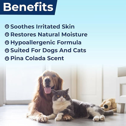 Replenish Aloe and Oatmeal Dog Shampoo -_ypoallergenic Pet Shampoo_or_llergies & Sensitive Skin, Medicated Dog Shampoo for Itching Relief &_atmeal Bath for Dogs Dry Flaky Skin Treatment  12 Oz