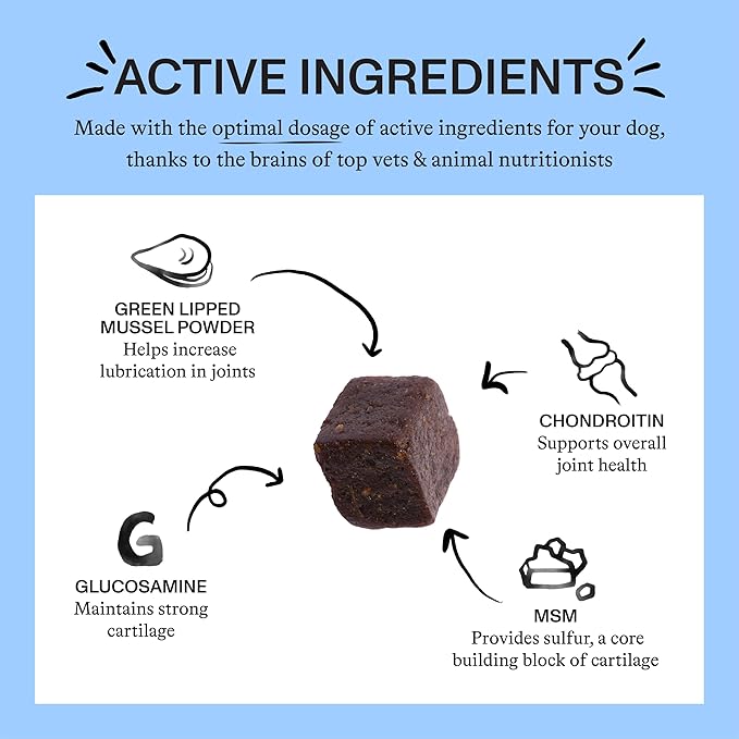 Spot & Tango Hip + Joint Supplement for Dogs - Vet-Approved For Mobility and Arthritis Support - Glucosamine, Chondroitin, Green Lipped Mussel, MSM - Flavor from Real Peanut Butter & Banana - 56 Count