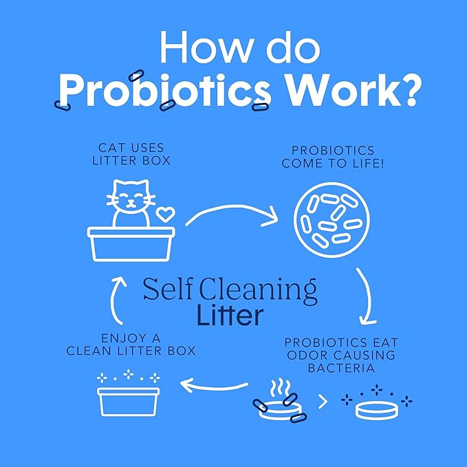 Boxie Probiotic Cat Litter, 40 Day Odor Control, Clumping Clay Kitty Litter, Odor Eliminating Probiotics, Dust-Free, No Fragrances No Fillers, 28 lb