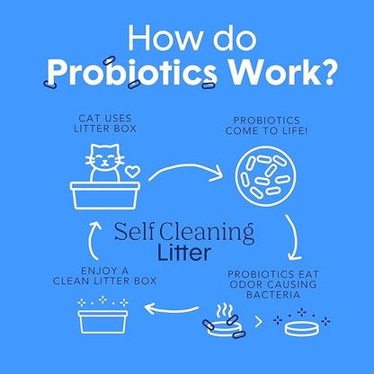 Boxie Probiotic Cat Litter, 40 Day Odor Control, Clumping Clay Kitty Litter, Odor Eliminating Probiotics, Dust-Free, No Fragrances No Fillers, 28 lb