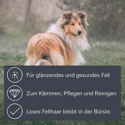 Alcott Bamboo Groom Oval Brush for Pets