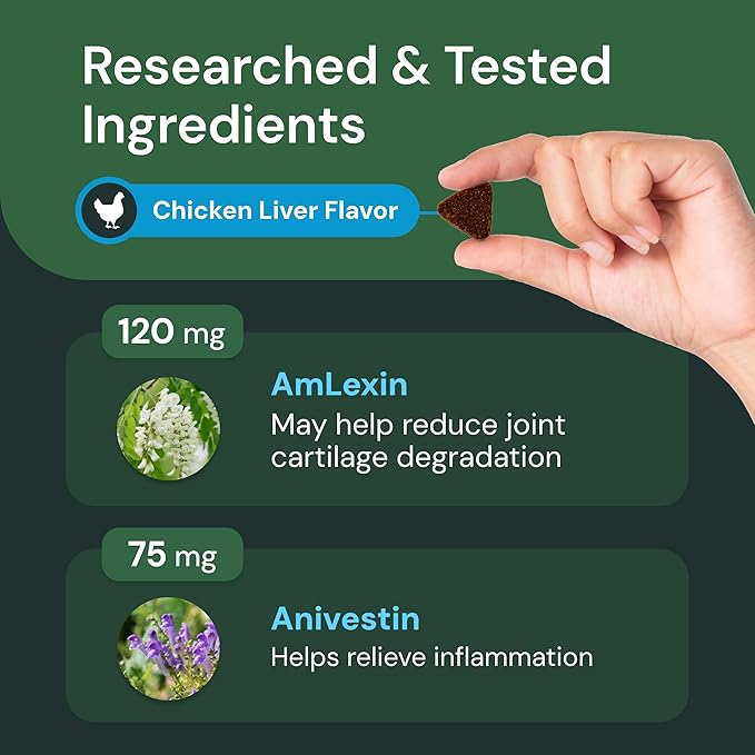VETRISCIENCE Max Veterinary Strength Comfort & Ease Chews - Dog Comfort & Mobility Supplement for Canine Joint Relief - Clinically Proven Ingredients - Chicken Flavor - 60 Count