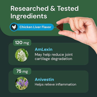 VETRISCIENCE Max Veterinary Strength Comfort & Ease Chews - Dog Comfort & Mobility Supplement for Canine Joint Relief - Clinically Proven Ingredients - Chicken Flavor - 60 Count