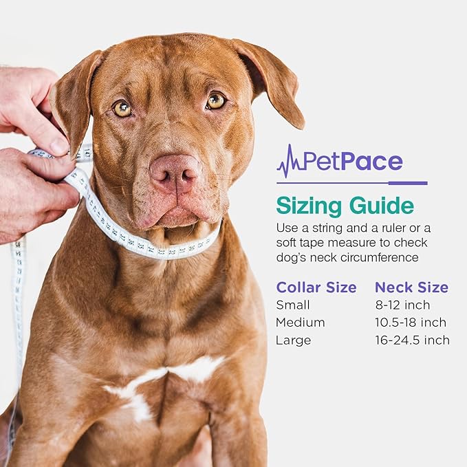 AI Health Monitor & GPS Tracker for Dogs | Track Heart Rate, Pain, Anxiety & Stress | Vet Backed, Near Real-Time Alerts & Monitoring | Subscription Required | PetPace Smart Collar 2.0 (Small)