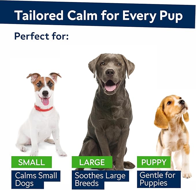 STRELLALAB Vet Formulated Hemp Calming Chews for Dogs - Anxiety Relief Calming Treats - Advanced Melatonin Pet Calm - Natural Sleep Aid & Stress, Separation Anxiety Relief - 120 Treats - Bacon