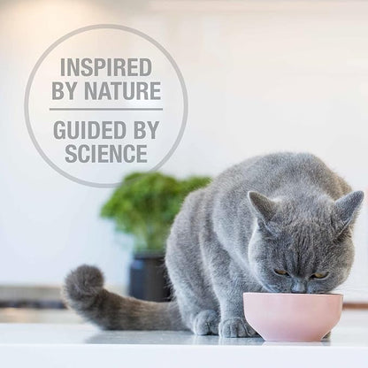 Feline Natural High Protein Dry Cat Food, Freeze-Dried Diet with 98% Meat, Organs & Seafood, No Peas, Grains, or Artificial Additives, Made in New Zealand, Beef, 11oz