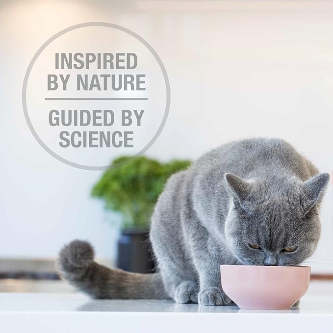 Feline Natural High Protein Dry Cat Food, Freeze-Dried Diet with 98% Meat, Organs & Seafood, No Peas, Grains, or Artificial Additives, Made in New Zealand Beef & Hoki, 3.5oz (Pack of 2)