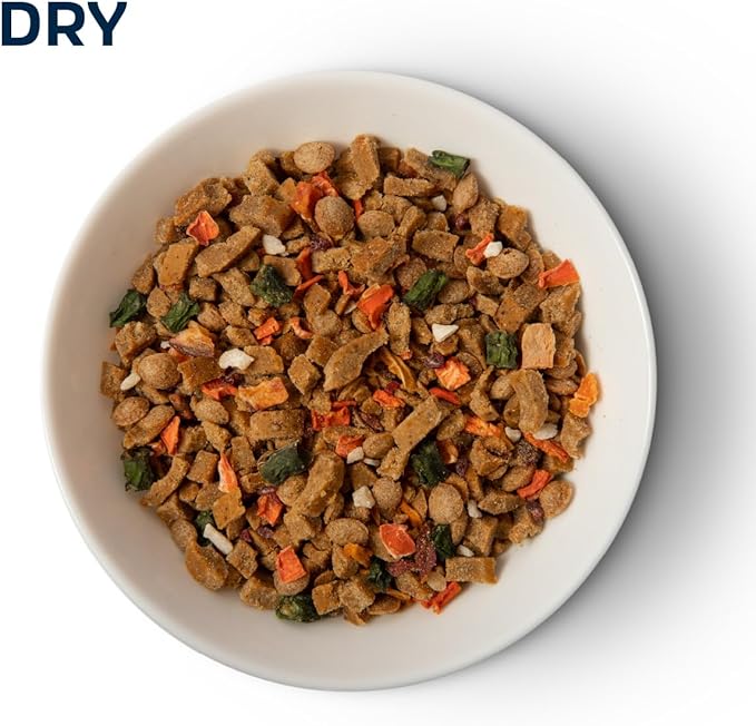 Slow Roasted Turkey Bowl with Ancient Grains, Vegetables & Fruits, Formulated to Support Gut & Immune Health in Adult Dogs - 6oz (2pack)