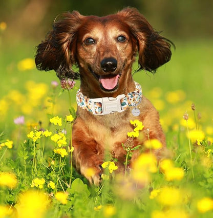 DOGWONG Female Cotton Dog Collar, Sunflower Spring Pet Dog Collars Cute Summer Puppy Necklace for Small Medium Large Dogs