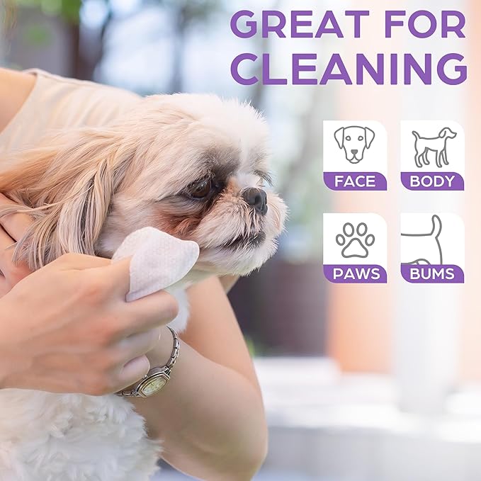 PrimePets Dog Wipes for Paws and Butt, 100 Count, 8" x 8" Pet Wipes for Dogs Cats Cleaning Deodorizing, Lavender Scented, Extra Thick Puppy Wipes for Sensitive Skin, Grooming for Bums, Face and Body