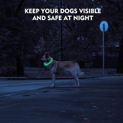 LED Dog Collar, Rechargeable Light Up Dog Collars,IP67 Waterproof Dog Lights for Night Walkingï¼_djustable, Reusable Safety Necklace for Small Medium Large Dogs(Blue)
