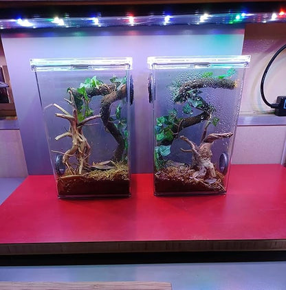 10pcs Natural Small Spiderwood Driftwood for Aquarium Decor Aquarium Driftwood Freshwater Reptile Driftwood Aquarium spiderwood (spiderwood 5-6inch 10pcs)