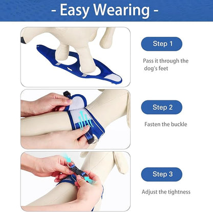 Dog Harness for Small Dogs, Small Dog Harness and Leash Set, Honeycomb Grid, Reflective Lightweight Harness & Anti-Twist Pet Lead,Dog Harness(Multi Color, Size: XS-S-M) (S, Sapphire Blue)