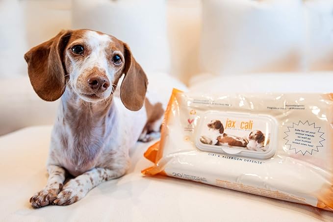 JAX & CALI Pet Wipes, Natural Textured Paw and Body Wipes, Hypoallergenic, pH Balanced, Vitamins B3 & E, Soothing Aloe, No Fragrance, Holistic, Cruelty Free, Dogs & Cats, Extra Large 8"x10", 20 Wipes