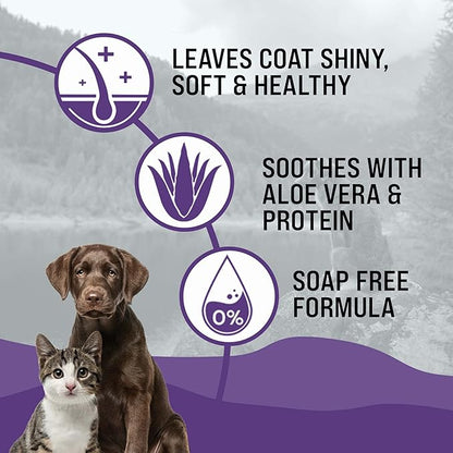 Dr. Boe's Veterinary Essentials GentleCoat Tearless Shampoo and Conditioner  Puppy and Kitten Soap-Free Formula  Grooming Supplies  All Natural, Aloe Vera & Gentle Proteins  16 Fl Oz.