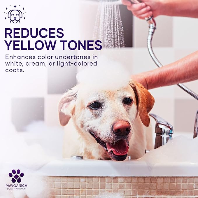 Pawganica 2-in-1 Purple Shampoo for Dogs, Supports Coat Whitening & Softness, pH-Balanced, Fur Whitening Dog Shampoo and Conditioner, Shampoo for Smelly Dogs 16 fl oz