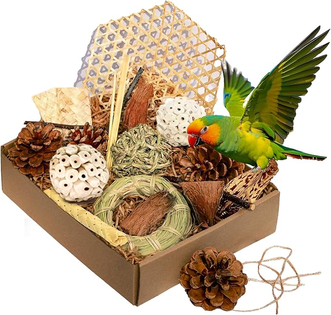 Natural Bird Chew Toys Parrot Toys Box, Foraging Shredding Parakeet Toys for Cockatiel Conures Lovebird Parakeet Budgie Macaws Small-Medium Birds