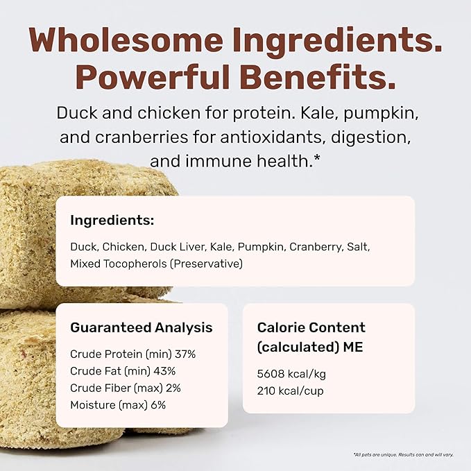 BADLANDS RANCH Superfood Nuggets- Premium, Freeze-Dried raw Dog Food Topper or Treat. Powerful Nutrient-Dense Ingredients. No Artificial additives. Duck and Kale Formula 8oz - 4pk Bundle