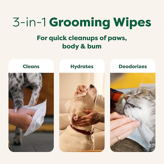 Earth Rated Pet Grooming Wipes for Dogs and Cats, Hypoallergenic, 3-in-1 Cleaning, Deodorizing and Hydrating, for Paws, Body and Butt, New White Tea and Basil Scent, 100 Count