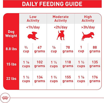 Royal Canin Size Health Nutrition Small 8+ Senior Dry Dog Food, 13 lb Bag