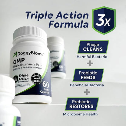 AnimalBiome Dog Probiotics - GMP Prebiotics and Probiotics - Reduce Diarrhea Flareups - for Dogs 21-40 lbs (60 Capsules) - DoggyBiome