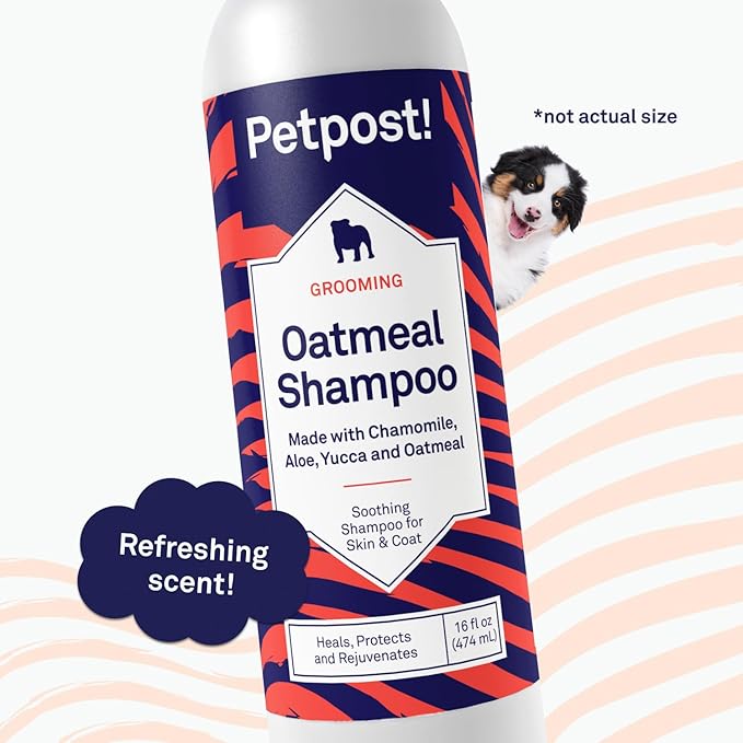 Petpost | Oatmeal & Chamomile Shampoo for Dogs with Dry Skin - Naturally Heals, Protects, Rejuvenates Dog Skin & Coat - Oatmeal, Chamomile, Aloe & Yucca Formula 16 oz.