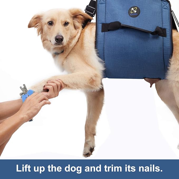 Dog Carry Sling, Emergency Backpack Pet Legs Support & Rehabilitation Dog Lift Harness for Nail Trimming, Dog Carrier for Senior Dogs Joint Injuries, Arthritis, Up and Down Stairs (L, Blue)