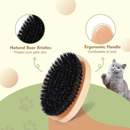 Soft Bristle Cat Brush, Wooden Cat Brush with Soft Boar Bristle, Natural Oval Pet Brush for Short Hair Cats and Small Dogs