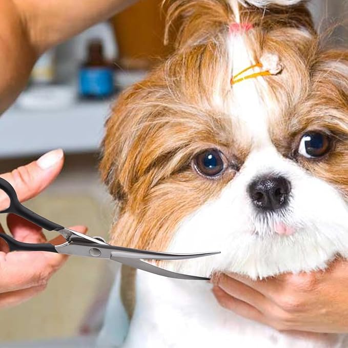 Dream Reach 6" Downward Curved Dog Grooming Scissors for Trimming Face and Paws, Safety Cutting Shears for Pet Dogs and Cats, Professional Pet Grooming Scissors Black