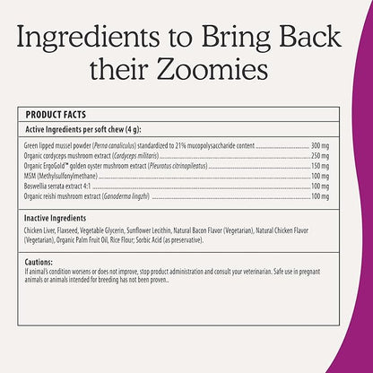 Real Mushrooms Mobility Chews for Dogs & Cats – Green Lipped Mussel & ErgoGold Mushroom Blend – Dogs & Cat Vitamins Treats for Active Routines – Joint, Hip & Flexibility Support – 240 ct Supplement
