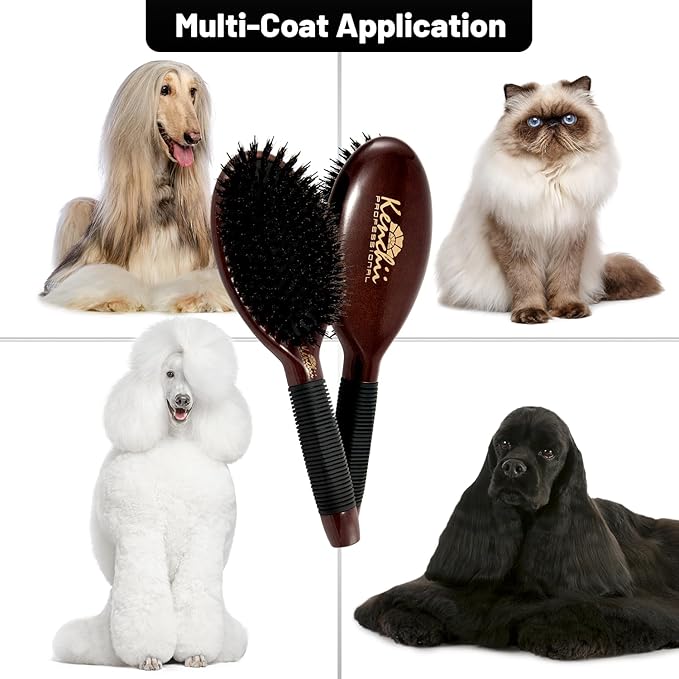 Kenchii Boar and Nylon Bristle Dog/Cat Grooming Brush with One-Piece Maple Body-Choose Size Large, Small (Large)