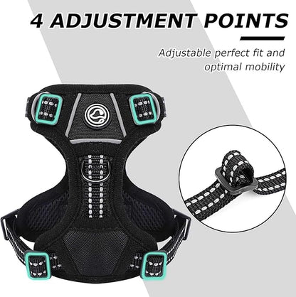 Dog Harness Small Sized Dog, No Pull Pet Harness with 2 Leash Clips, Adjustable Soft Padded Dog Vest Harnesses, Reflective No-Choke Pet Oxford Vest