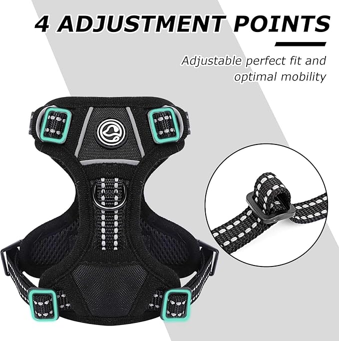 Dog Harness Small Sized Dog, No Pull Pet Harness with 2 Leash Clips, Adjustable Soft Padded Dog Vest Harnesses, Reflective No-Choke Pet Oxford Vest