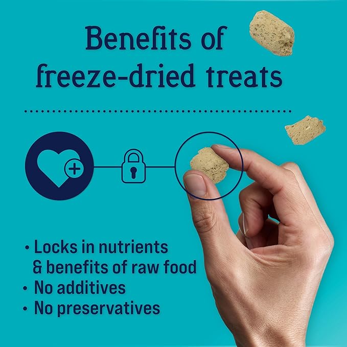 Stewart Freeze Dried Dog Treats, Healthy Gut Chicken & Vegetable, Gut Health Probiotics, Grain Free, 4 Ounce Resealable Pouch, Made in USA