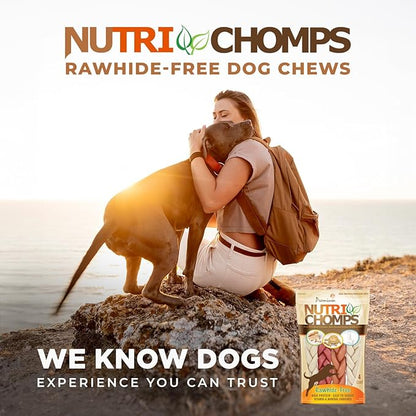 NutriChomps Dog Chews- 6-inch Braids,Easy to Digest, Rawhide-Free Dog Treats, Healthy, 4 Count, Real Chicken, Peanut Butter and Milk Flavors, Bundle of 3