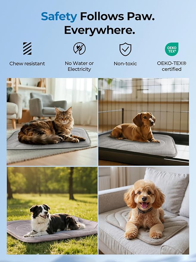 Dog Cooling Mat, Reversible Cool & Warm Pet Orthopedic Pad, Thick Mat for Summer & Winter, Machine Washable, Portable for Crate, Kennel, Bed, Floor, Sofa, Car (Cool Grey, Small: 24" x 18")