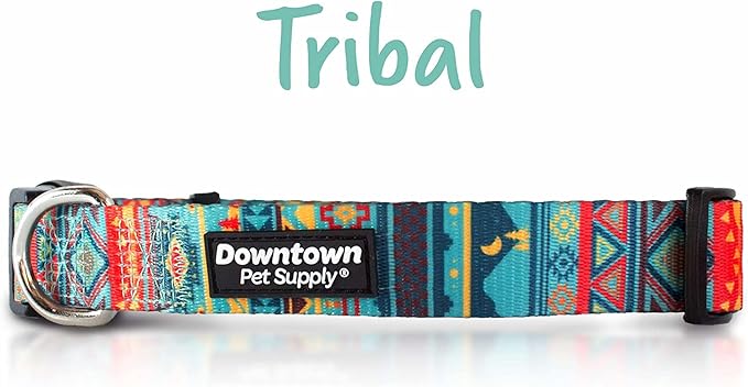 Downtown Pet Supply - Best, Cute & Fancy Dog Collar - Lightweight Adjustable Dog Collar with Quick Buckle & D-Ring - Hand Wash Safe - Tribal - M - Medium Dog Collar