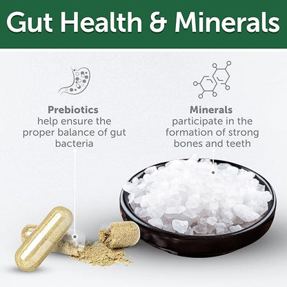 Nature's Protection Low Calorie Dog Treats for Training - Perfect for Small, Medium & Large Breed Dogs with Light Fur (Superior Care - White Fish & Rice, 5.29 oz)