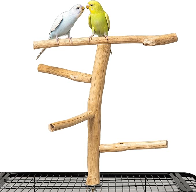 Natural Wood Bird Perch & Play Stand for Parakeets/Cockatiels - Multi-Level Cage Accessory with Training Branch