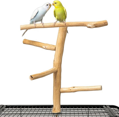 Natural Wood Bird Perch & Play Stand for Parakeets/Cockatiels - Multi-Level Cage Accessory with Training Branch