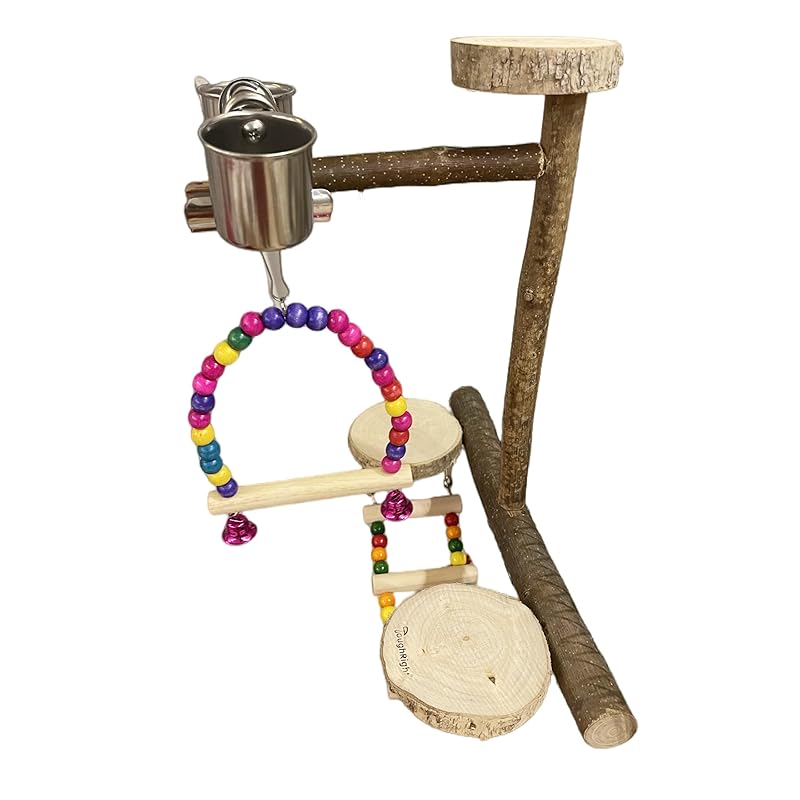 Natural Wood Bird Perch Playground for Outside the Cage Wall, Bird Platform and Play Area for Small to Medium Parrots like Cockatiels, Conures, Parrotlets, Lovebirds, and Budgies, Bird Cage Accessory