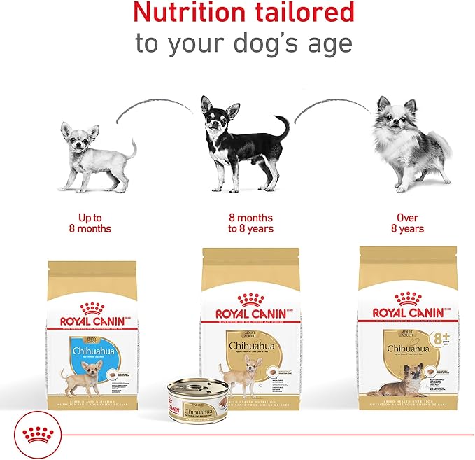 Royal Canin Breed Health Nutrition Chihuahua Puppy Dry Dog Food, 2.5 lb Bag