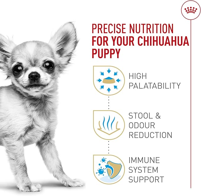 Royal Canin Breed Health Nutrition Chihuahua Puppy Dry Dog Food, 2.5 lb Bag