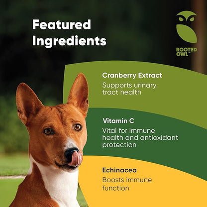 Rooted Owl Urinary Support - Echinacea and Cranberry Supplement for Dogs - Dog UTI Prevention - 60/ct