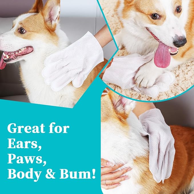 Pet Glove Wipes for Dogs Cats, Extra Thick Hypoallergenic Dog Dry Cleaning Bath Gloves Wipes Deodorizing for Paws/Butt/Teeth/Ear/Eye, Cat Grooming Glove Wipes for Daily Care Traveling(6pcs)