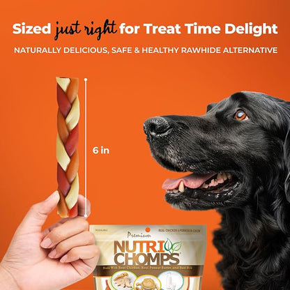 NutriChomps Dog Chews, 6-inch Braids, Easy to Digest, Rawhide-Free Dog Treats, Healthy, 10 Count, Real Chicken, Peanut Butter and Milk flavors