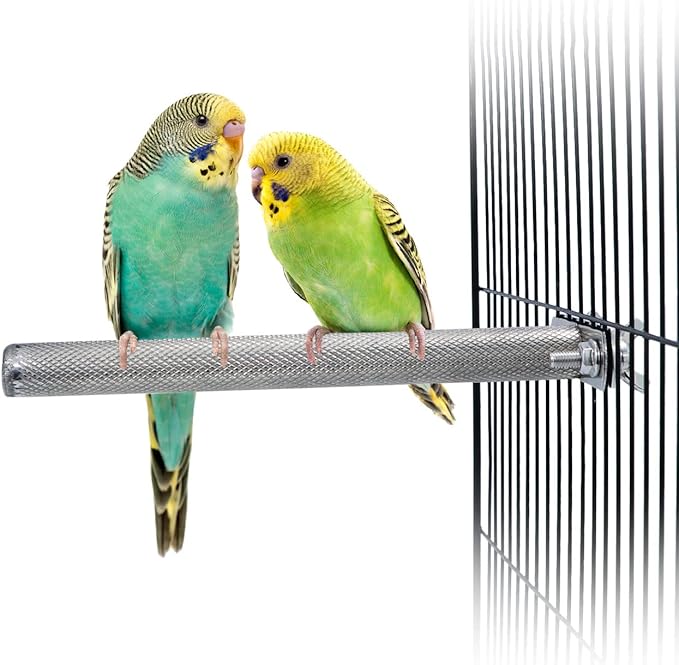 Wontee Bird Perch Stand Stainless Steel Parrot Cage Perch Accessories for Parakeets Cockatiels Conures African Greys Macaws Amazon Parrots (S (7.9"x0.7")