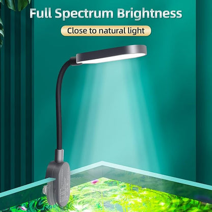 UPETTOOLS Aquarium Light with Adapter LED Clip on Fish Tank Light Small Full Spectrum USB Light 360° Rotation Lighting 5W