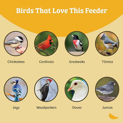 Birds Choice Classic Hanging Bird Feeder with Weatherguard Baffle | Squirrel Proof Bird Feeder for Cardinals, Chickadees, Woodpeckers | Sturdy Steel Construction | Backyard Birdseed Dispenser | Green